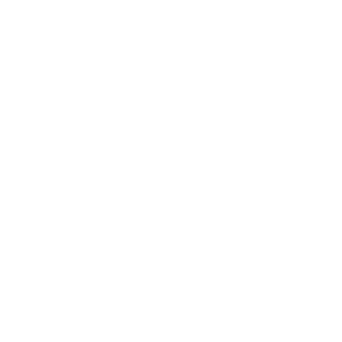 Icone Recherche